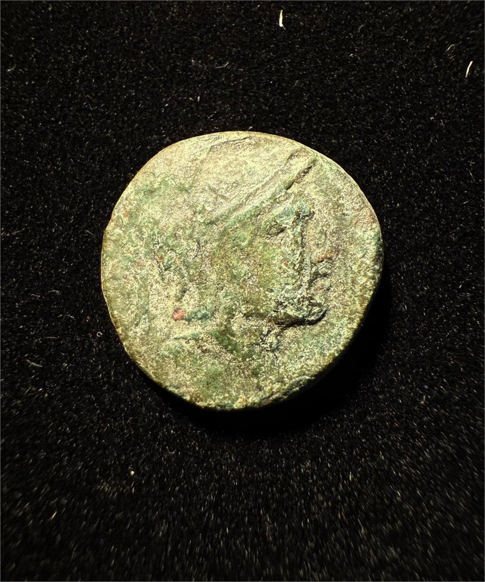 187–31 BC Macedonia Athena & Grazing Cow Bronze Ancient Greek Coin