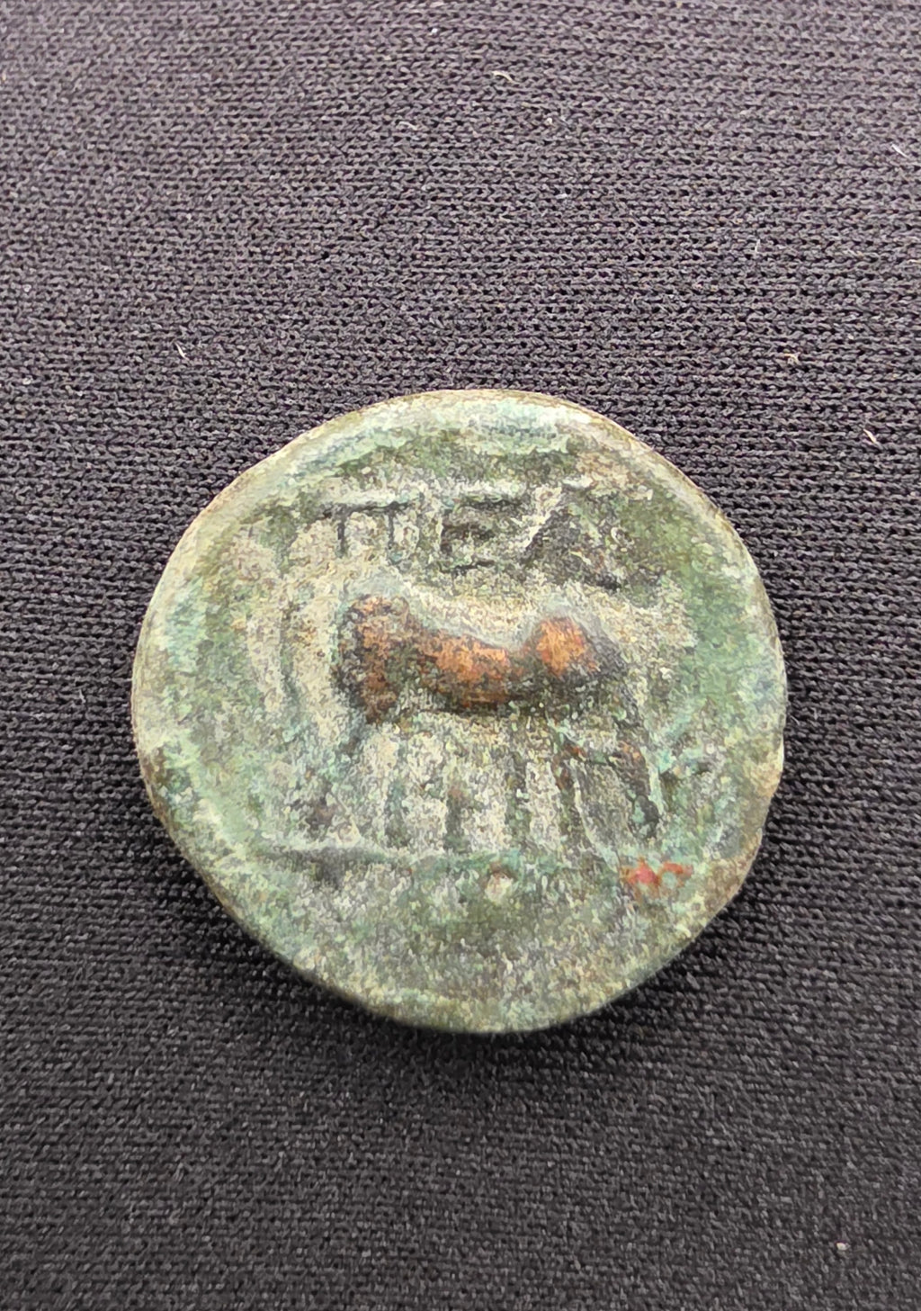 187–31 BC Macedonia Athena & Grazing Cow Bronze Ancient Greek Coin