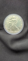 2020 American Silver Eagle
