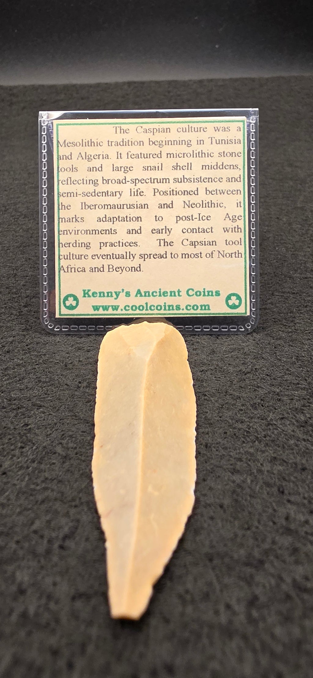 Caspian Culture cutter/scraper