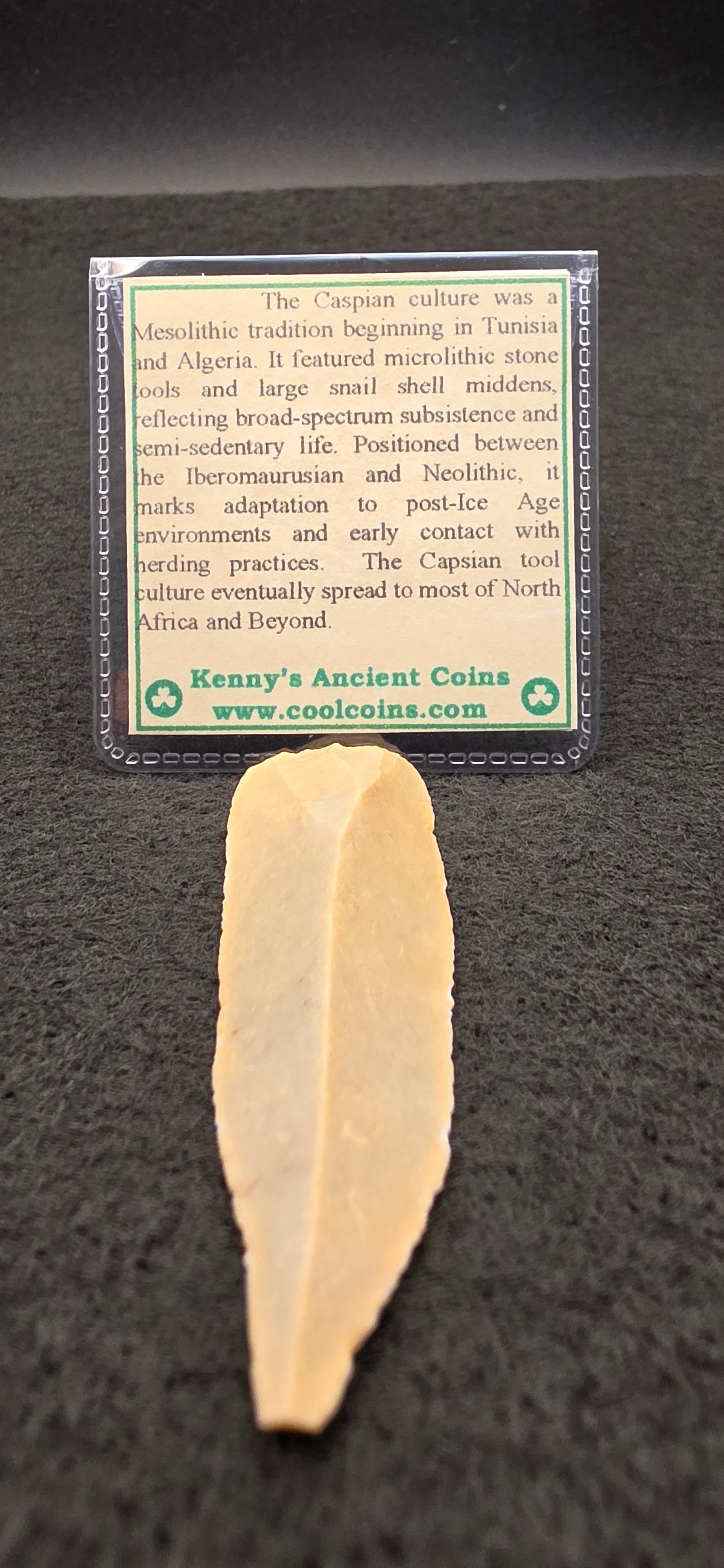 Caspian Culture cutter/scraper