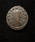 Gallienus “Zoo Series” Panther Antoniniani
LIBERO P CONS AVG – Roman Empire, AD 267–268