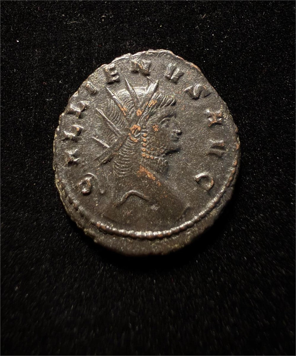 Gallienus “Zoo Series” Panther Antoniniani
LIBERO P CONS AVG – Roman Empire, AD 267–268