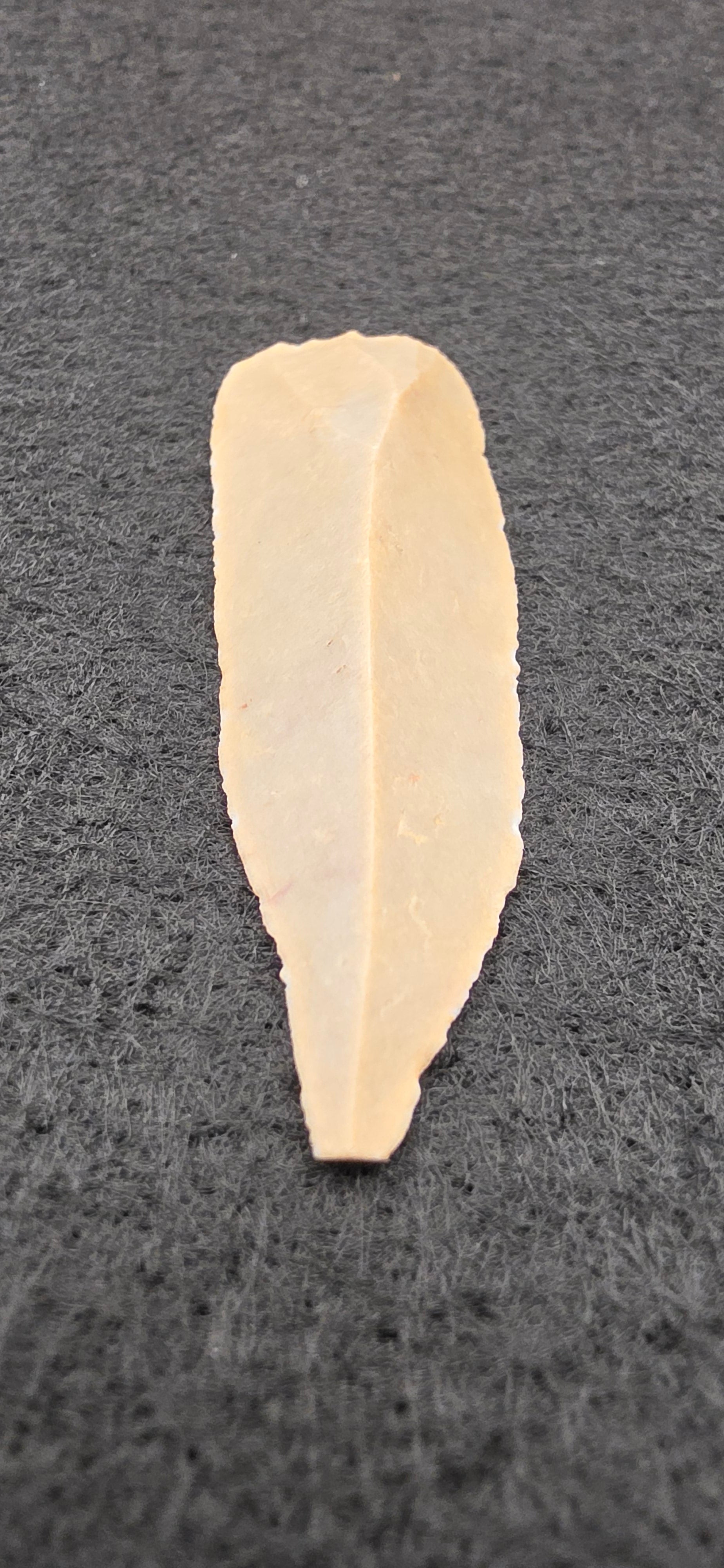 Caspian Culture cutter/scraper